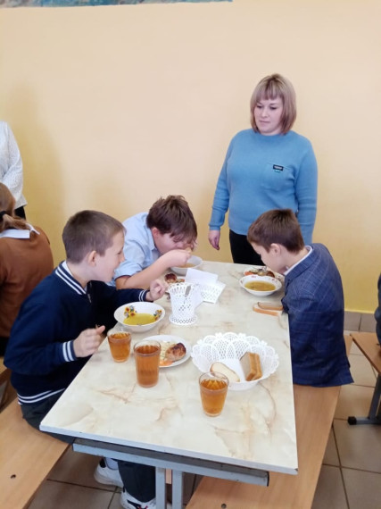 Родительский контроль за организацией и качеством питания..